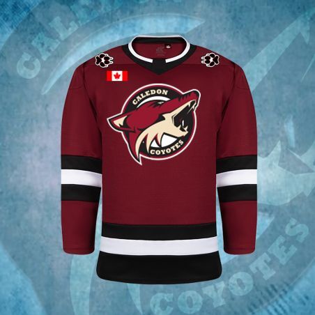 Burgundy Jersey